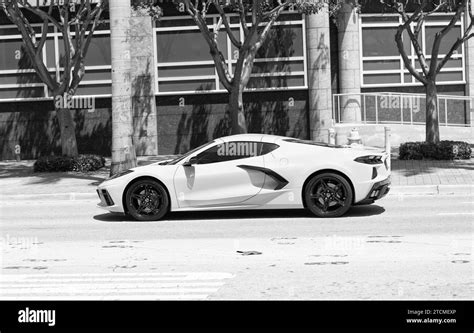 Miami Beach Florida Usa April White Chevrolet Corvette