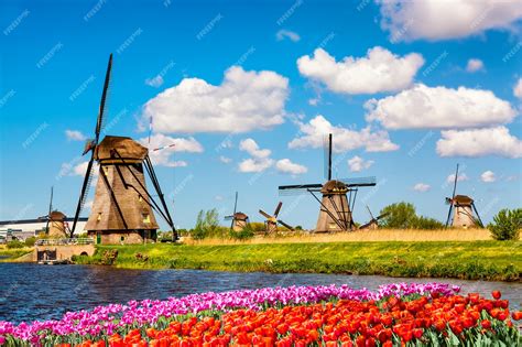 Premium Photo | Famous windmills in Kinderdijk village with a tulips ...