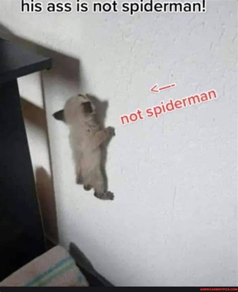 NS Ass Is Not Spiderman Americas Best Pics And Videos