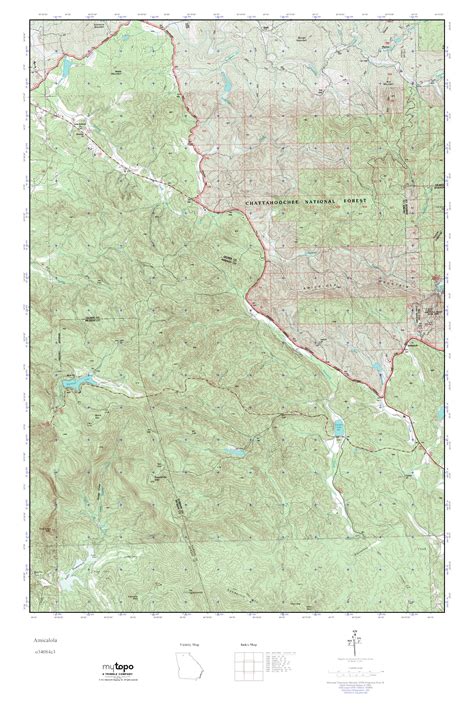 Mytopo Amicalola Georgia Usgs Quad Topo Map