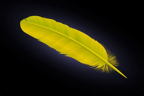 Gray Feather Meaning And Symbolism Color Meanings