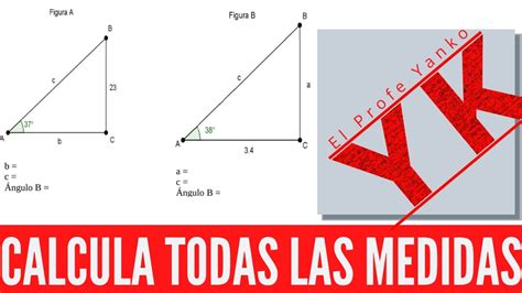 Calcular La Medida De Los Angulos Faltantes En Cada Caso Brainly Lat