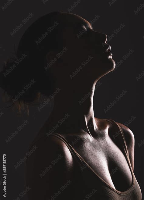 Woman Beauty Silhouette Face And Dark Sexy With Cosmetics And