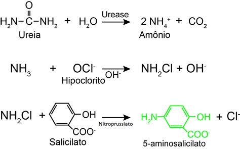 O Ciclo Da Ureia