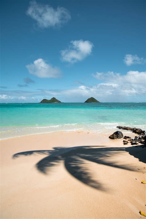 Fondo De Pantalla De Playa Ndash Android Fondo Animado Playa Apps En