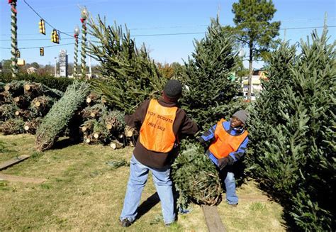 Real Christmas Trees At Walmart - Christmas Images 2021