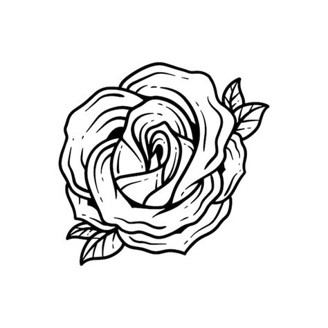 Premium Vector Hand Drawn Rose Illustration Abstract Flower Outline Vector Icon