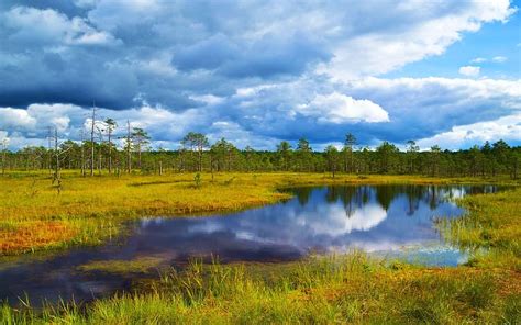 Viru Bog Harju County Estonia Sky Water Reflections Trees