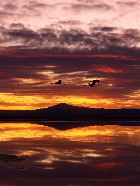 Visa Requirements to Chile : r/chile