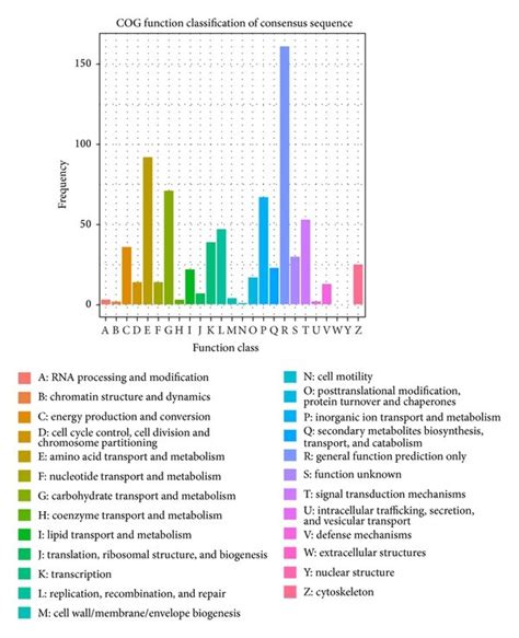 Histogram Representation Of Clusters Of Orthologous Groups Cog