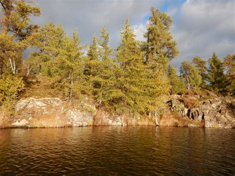 Fall Time On Lyon's Lake Manitoba - Fly Fishing Manitoba