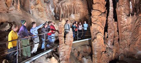 1 Day Jenolan Caves And Blue Mountains Tour 145