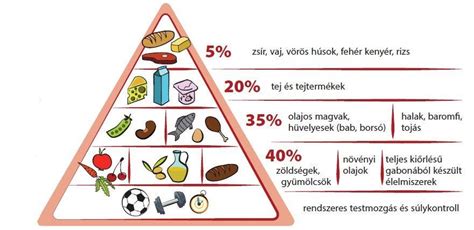 Mi is az az egészséges táplálkozás A táplálékpiramis jelentősége