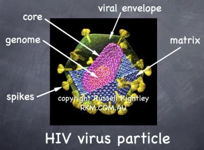 Scientific Animation Virology Structure Of Human Immunodeficiency