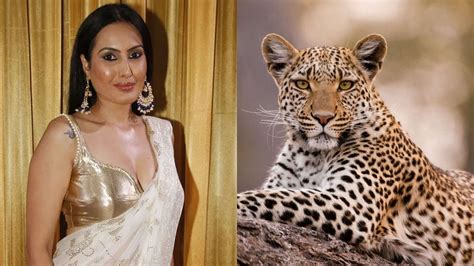 Leopard On Kamya Panjabi New Tv Show Neerja Ek Nayi Pehchaan At Mumbai Film City Amar Ujala