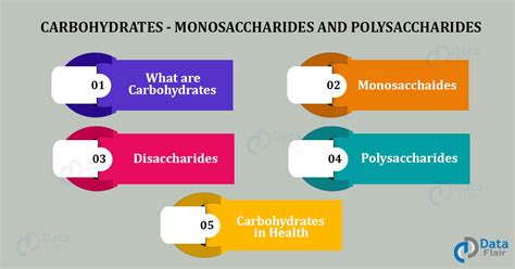 Carbohydrates Classification Sources And Examples Dataflair