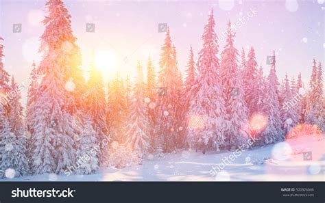 Magical Winter Landscape Background Some Soft Stock Photo 520926046 ...