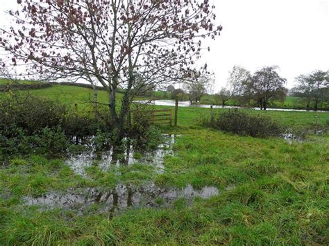 Flooded Field Donaghanie Kenneth Allen Geograph Britain And Ireland