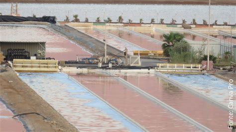 Dessalinização da água do mar afinal esse projeto é viável