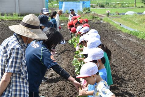 おおきくなあれ 美濃加茂市立伊深小学校