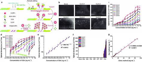 Supramolecular Recognition Based Layer By Layer Self Assembly Mediated