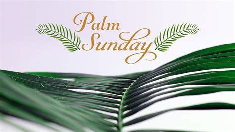 Palm Sunday Message From Fr Kalombo Sts Joseph Paul Catholic Church