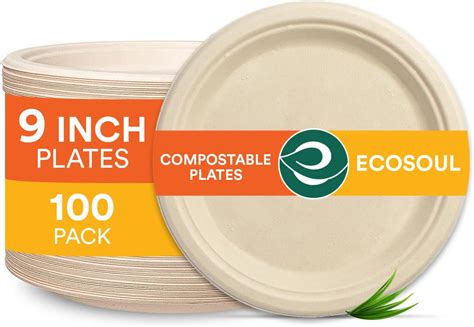 ECO SOUL 100 Compostable 9 Inch Paper Plates 100 Pack Disposable