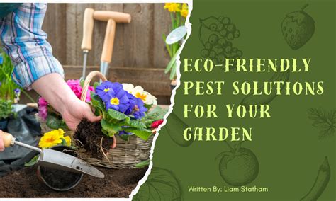 Eco Friendly Pest Solutions For Your Garden Youth In Food Systems