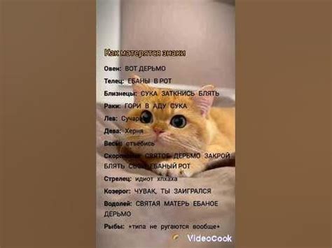 Как матерятся знаки зодиака #гороскоп #знакизодиака #shortvideo #shorts