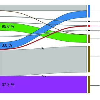 Comparison Of The Functional Impact Of Mnvs Right And Their