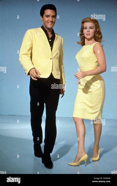 Dressed In Black Yellow Ann Margret Photos Ann Margret 57 Off