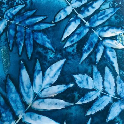 Create Stunning Art with Cyanotype DIY Large Kit