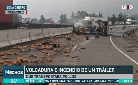 Vuelca tráiler cargado con pollos habitantes rapiñan producto