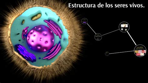 Estructura En Los Seres Vivos