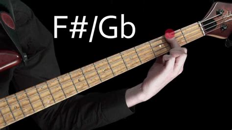 Learn Bass Learning The Notes Of The Fretboard Youtube