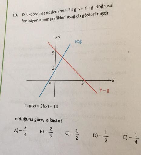 13 Dik Koordinat Düzleminde Fog Ve F G Doğru Lise Matematik