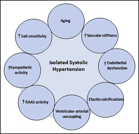 Isolated Systolic Hypertension An Update After SPRINT The American