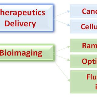 Various applications of graphene oxide in the biomedical arena. Adapted ...