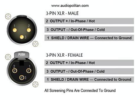 XLR Pinout, Wiring Diagram Male And Female Connector, 54% OFF