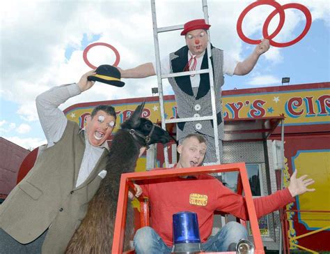 Shropshire Circus Brings Its Lions To The County Shropshire Star