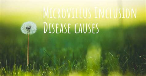 Which are the causes of Microvillus Inclusion Disease?