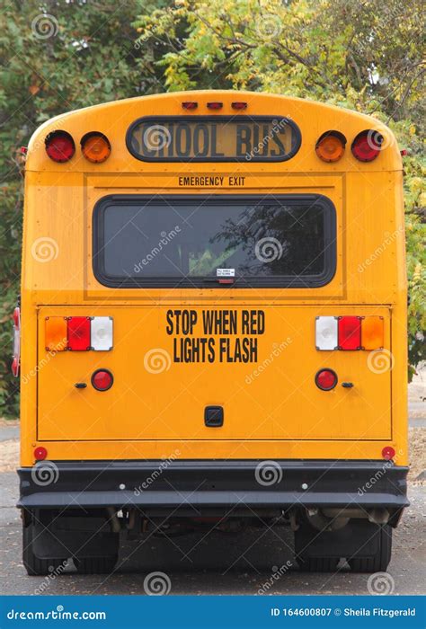 Rear Of A Traditional Yellow School Bus Stock Image Image Of