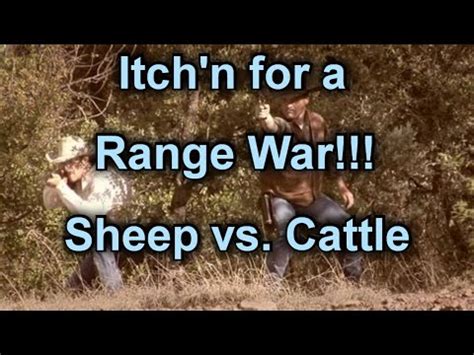 Homestead Sheep Rotational Grazing Is It Worth It Youtube