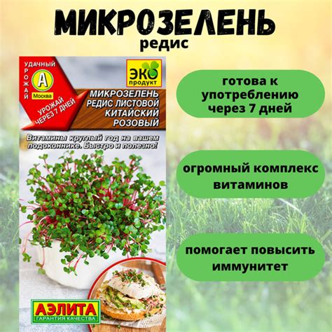 Микрозелень Агрофирма Аэлита Микрозелень - купить по выгодным ценам в ...