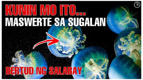 Kunin Mo Ito Maswerte Sa Negosyo At Sa Sugalan Mutya Buhat Sa