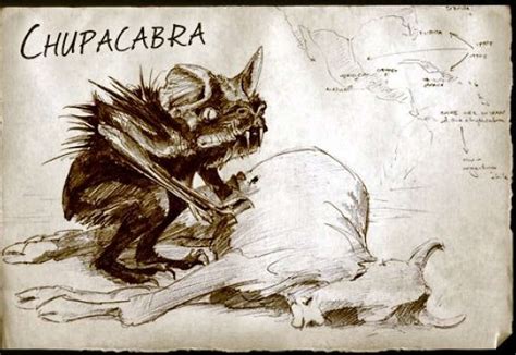 El Chupacabras Tracing Mexicos Most Infamous Monster