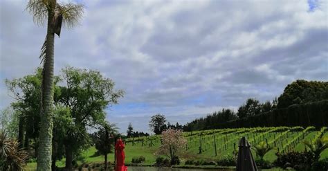 Bay Of Islands Private Tour The Wine Tasting Guided Wine Tour In