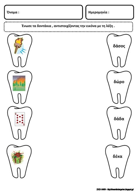 The Teeth Are Labeled In Different Colors And Shapes