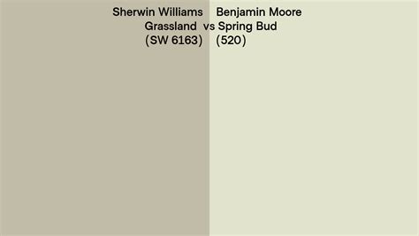 Sherwin Williams Grassland Sw 6163 Vs Benjamin Moore Spring Bud 520 Side By Side Comparison