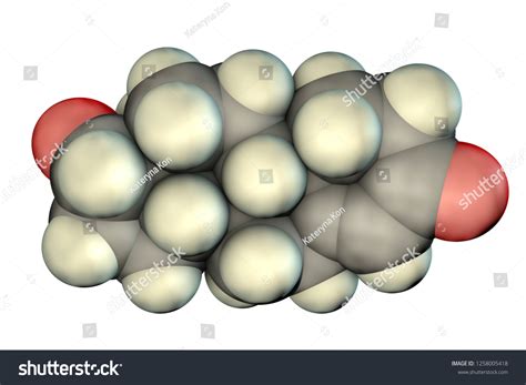 Testosterone Primary Sex Hormone Men Anabolic Stock Illustration Shutterstock